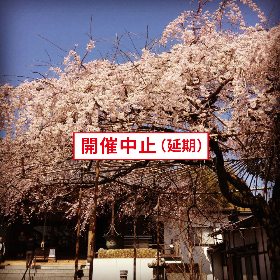 【中止】3/29 慶福寺・釈尊降誕会「しだれ桜観月祭」